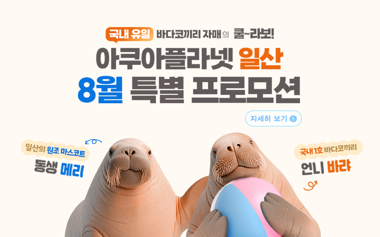 
              8월 특별 프로모션
              