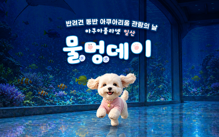 
              2026 물멍
              