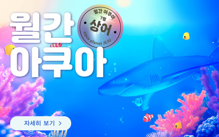 
              상어의 달
              