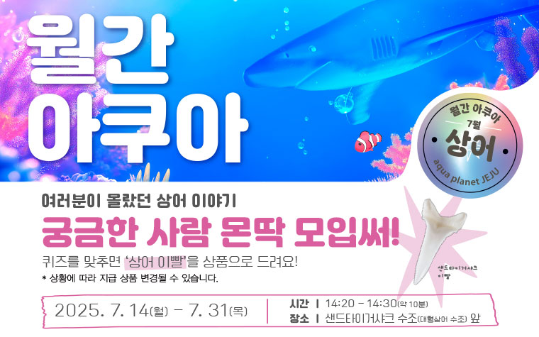 
              상어 생태 설명회
              
