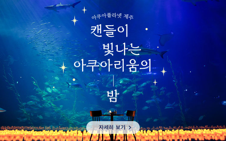 
              아쿠아플라넷 제주 야간개장
              