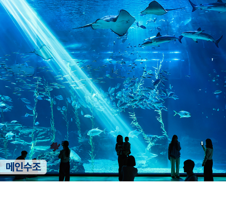 아쿠아플라넷 제주