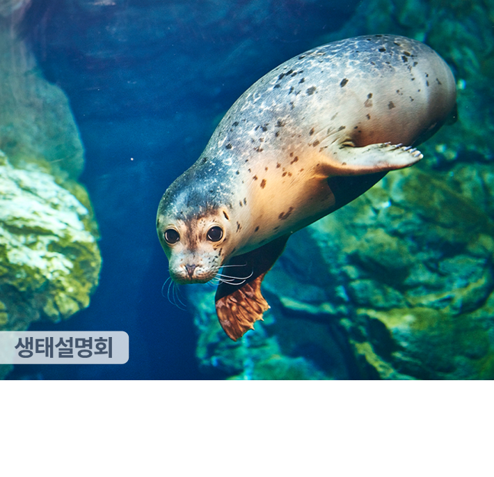 아쿠아플라넷 제주