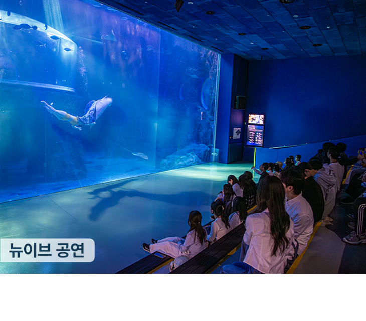 아쿠아플라넷 여수