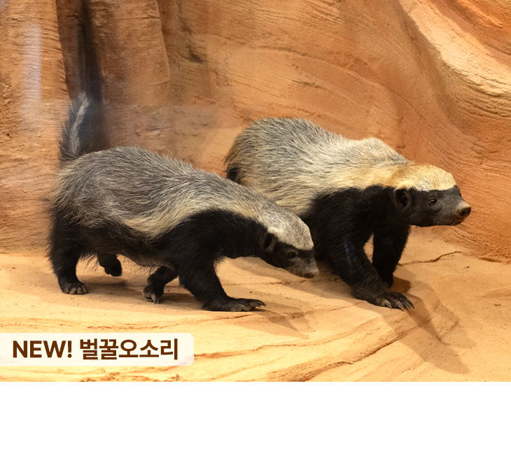 아쿠아플라넷 일산