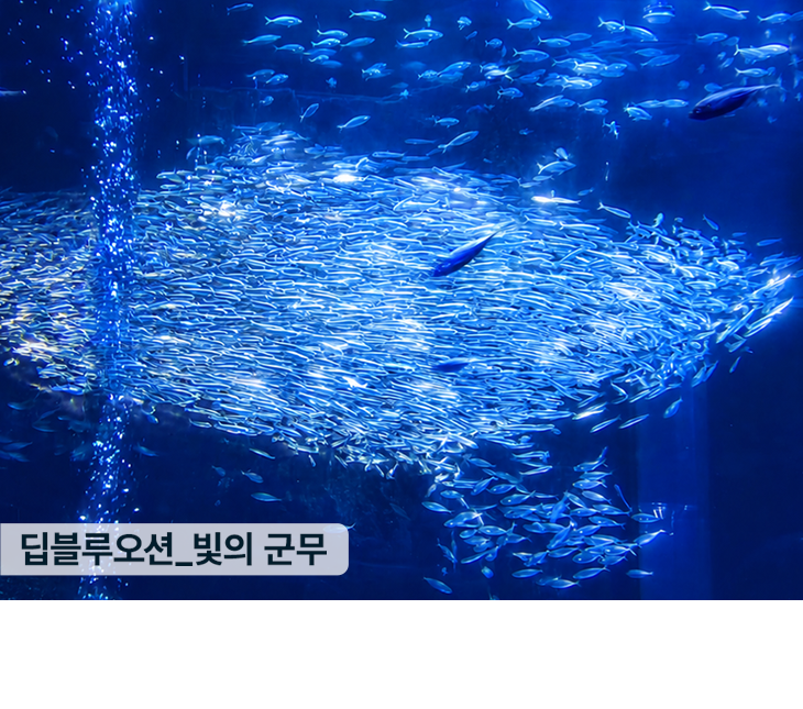 아쿠아플라넷 일산