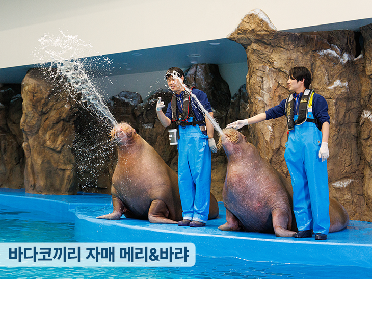 아쿠아플라넷 일산
