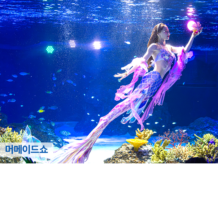 아쿠아플라넷 광교