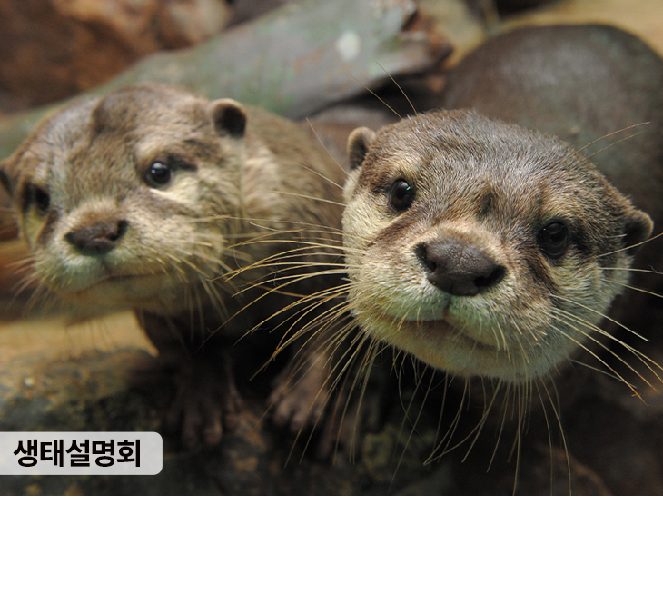아쿠아플라넷 광교