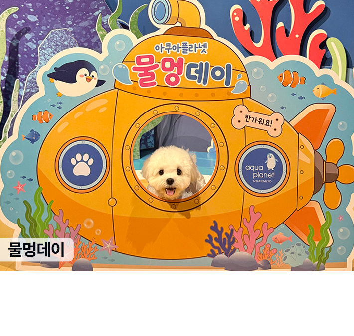아쿠아플라넷 광교
