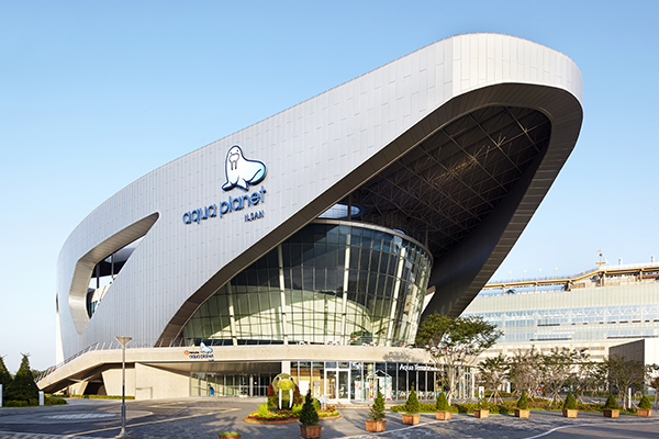 아쿠아플라넷 여름 체험공연 콘텐츠