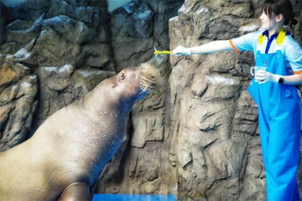 아쿠아플라넷 여름 체험공연 콘텐츠