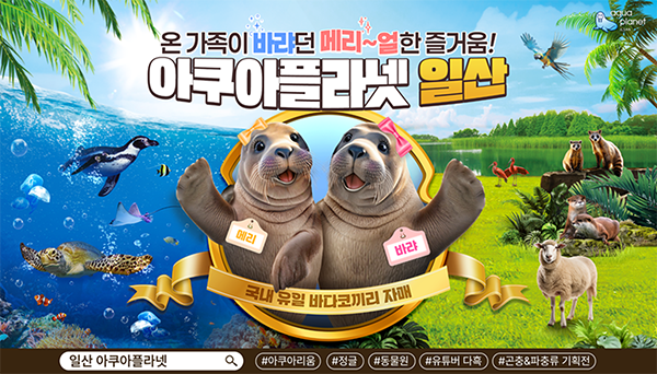 아쿠아플라넷 여름 체험공연 콘텐츠