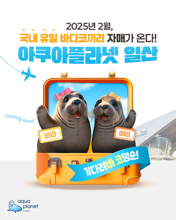 아쿠아플라넷 여름 체험공연 콘텐츠