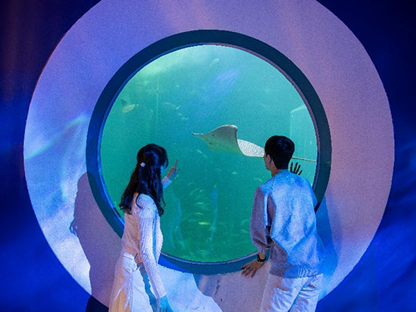 아쿠아플라넷 크리스마스 특별 공연 이벤트