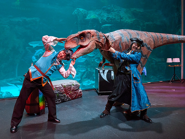 아쿠아플라넷 크리스마스 특별 공연 이벤트