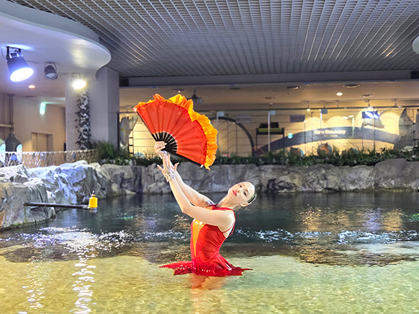 아쿠아플라넷 크리스마스 특별 공연 이벤트