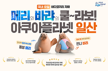 아쿠아플라넷 뉴스룸 크리스마스 특별공연