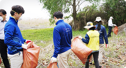 Purification activities of natural habitats around the Han River