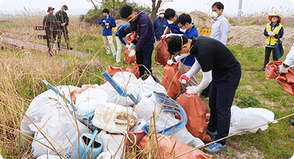 Purification activities of natural habitats around the Han River2