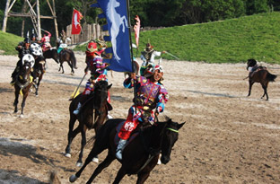 말 경주 사진