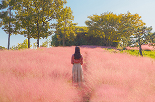 선사유적공원