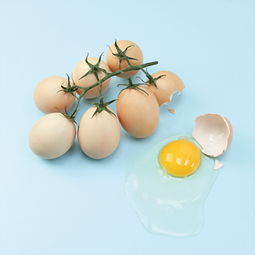 헬가스텐첼, 아쿠아플라넷여수, 특별전시